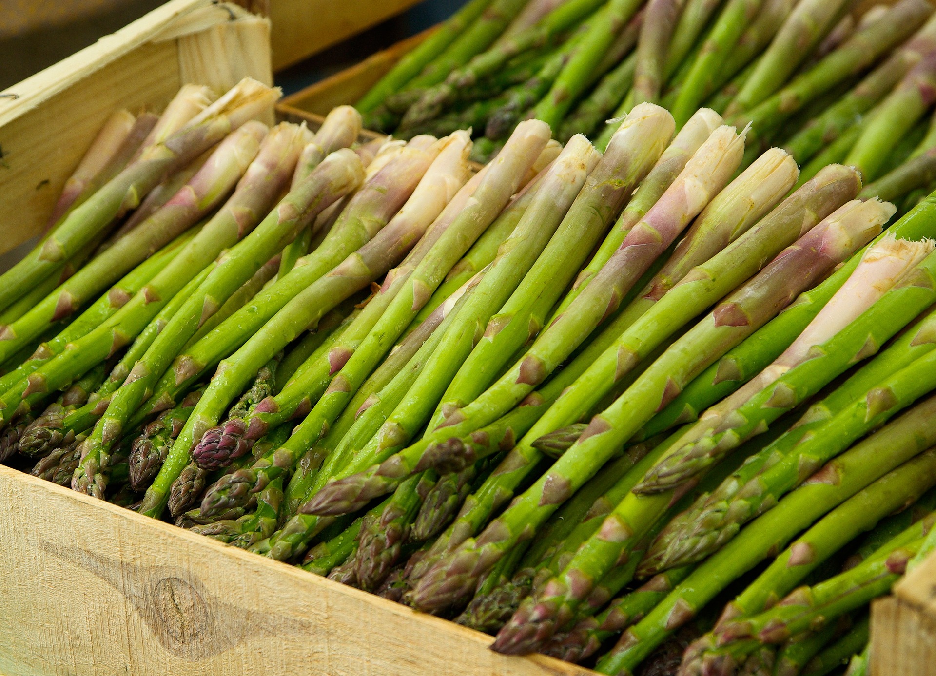 Asparagus, Jersey Royals & Wild Garlic Salad Recipe